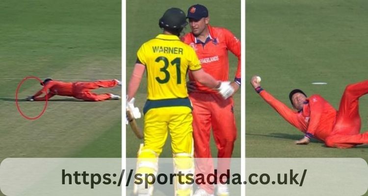 Australian men’s cricket team vs netherlands national cricket team match scorecard