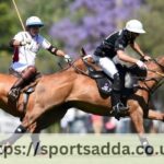 Play polo in Argentina