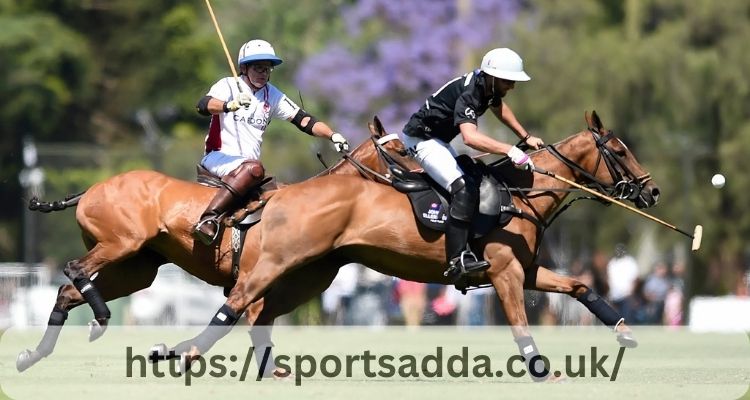 Play polo in Argentina