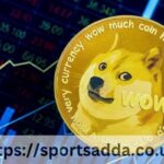 DOGE vs PUMP