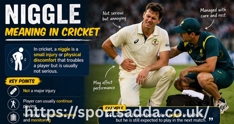 Niggle Meaning in Cricket