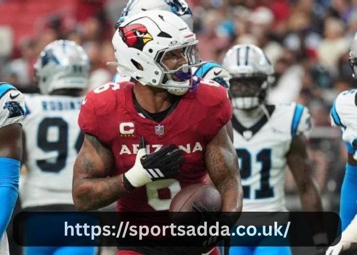 Carolina Panthers Vs Arizona Cardinals Match Player Stats